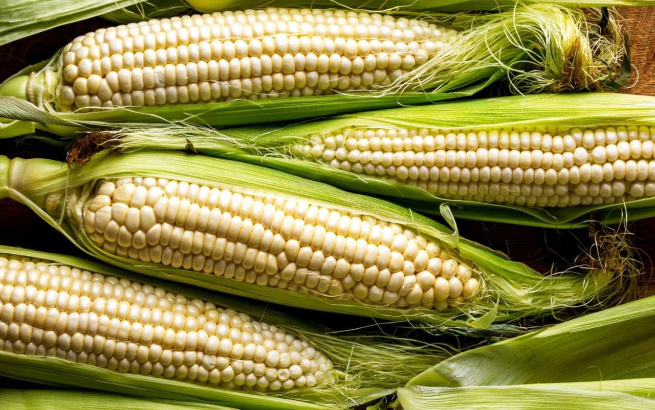 8 flavorful filling corn recipes under 500 calories