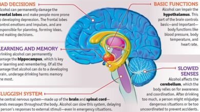 What happens when you drink alcohol latest science