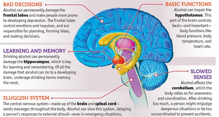 What happens when you drink alcohol latest science