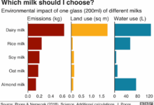 A nutritional comparison of dairy and plant based milk varieties