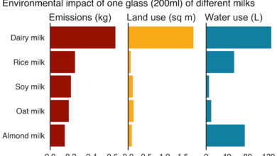 A nutritional comparison of dairy and plant based milk varieties