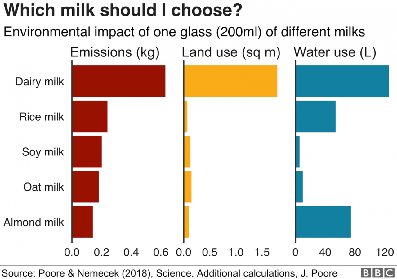 A nutritional comparison of dairy and plant based milk varieties