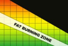 The fat burning zone explained