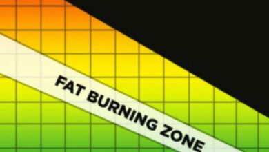 The fat burning zone explained