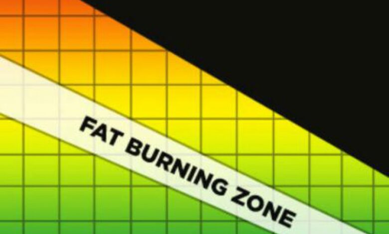 The fat burning zone explained