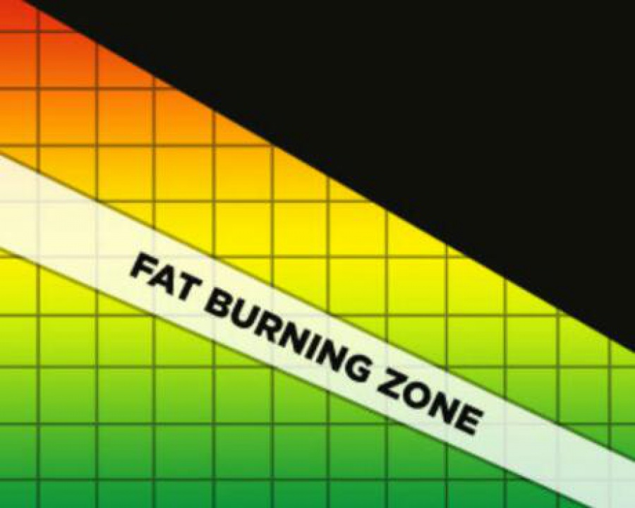 The fat burning zone explained