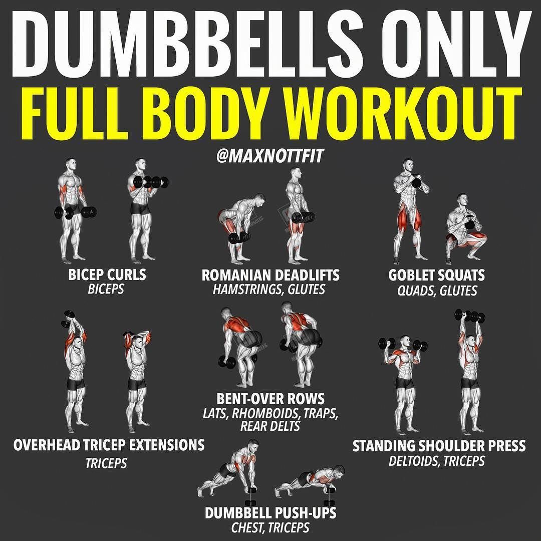 1 week 1 dumbbell total body workout