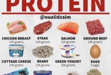 30 gram protein meals