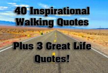 25 reasons to love walking for exercise