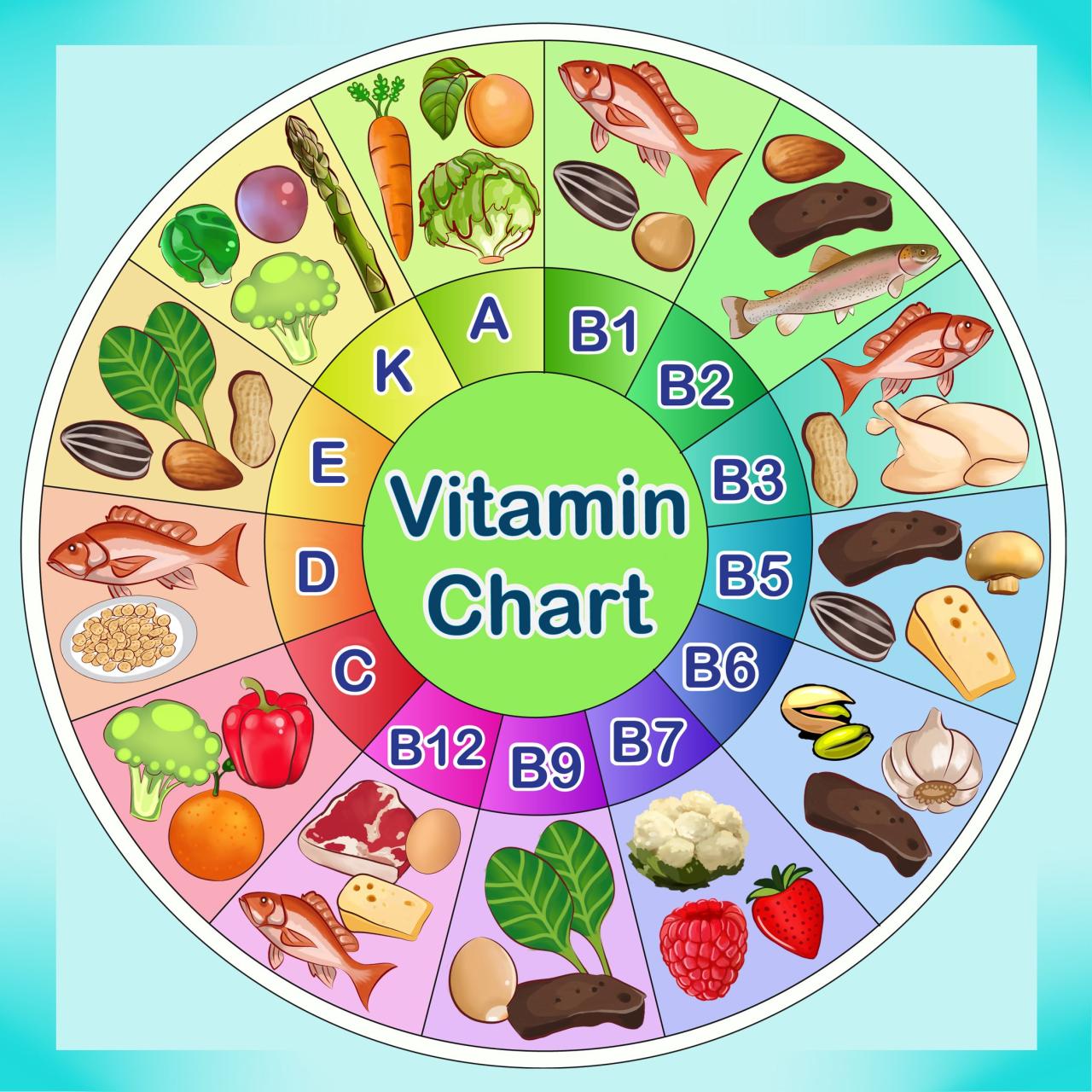 Nutrition 101 vitamins minerals infographic