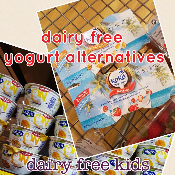 Taste testing our dairy free yogurt rankings