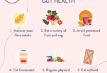 Boost your gut health boost your performance