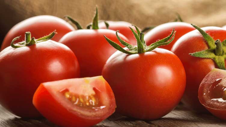 Everything you need to know about tomatoes