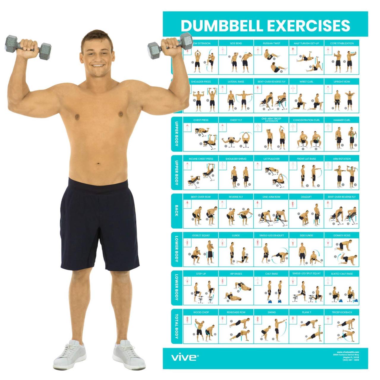 2 week progressive dumbbell workout guide