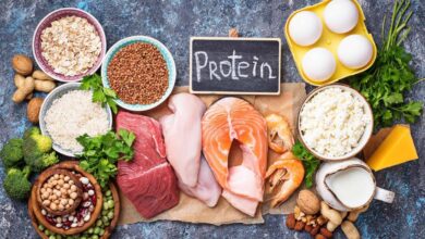 High protein diet plan