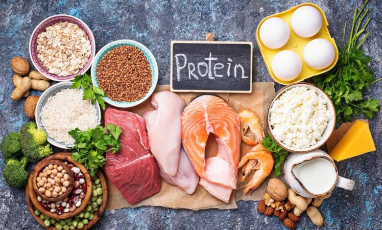 High protein diet plan