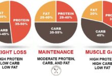 Ask the rd how should you adjust your macros after an off day