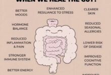 The importance of gut health