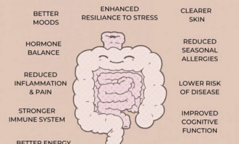 The importance of gut health