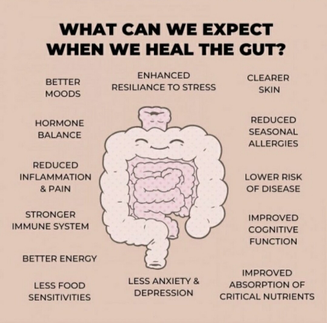 The importance of gut health