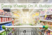 Your guide to budget friendly grocery shopping infographic