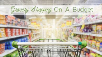 Your guide to budget friendly grocery shopping infographic