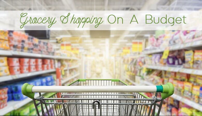 Your guide to budget friendly grocery shopping infographic