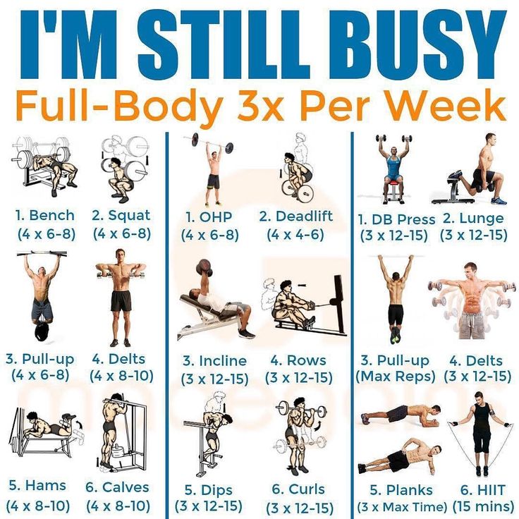 20 day full body fitness program