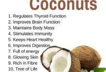 Can coconut be healthy