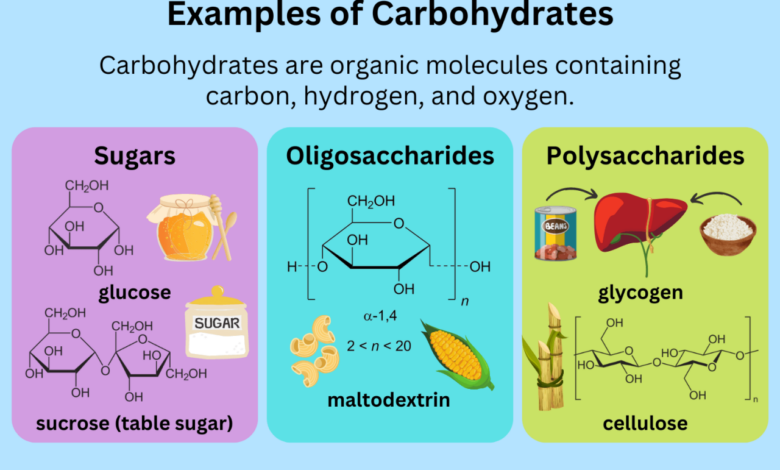 Essential guide to carbs