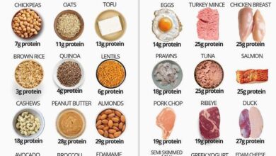 Ideal amount protein looks like infographic