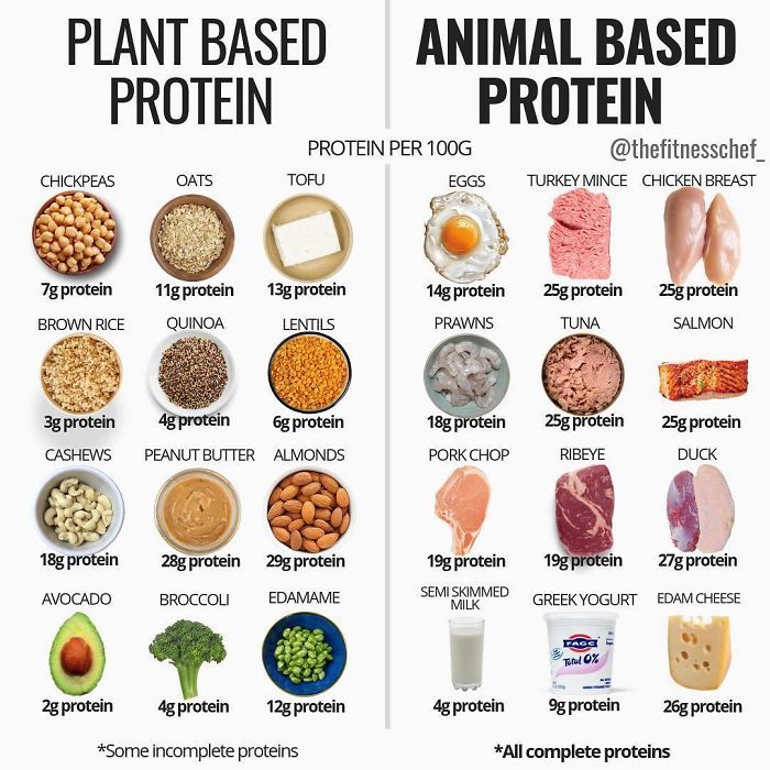 Ideal amount protein looks like infographic