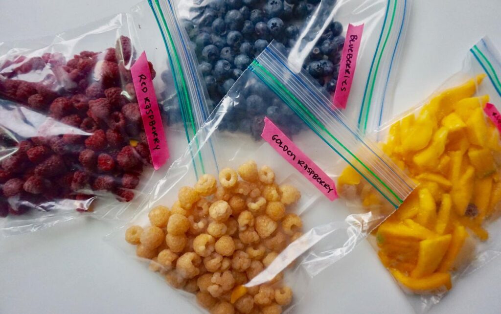 Tactical Guide: Freezing Fresh Fruit for Maximum Flavor | Udento