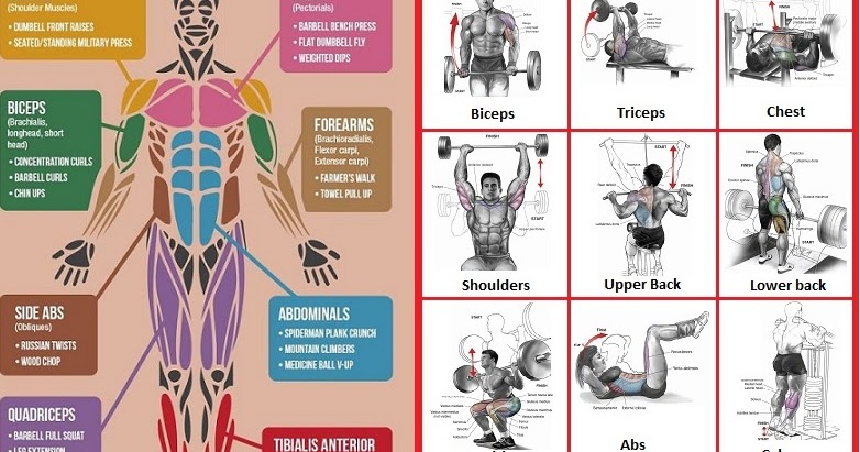 20 minute full body dumbbell workout