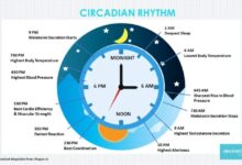 Experts debate is the circadian rhythm diet all hype