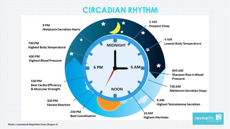 Experts debate is the circadian rhythm diet all hype