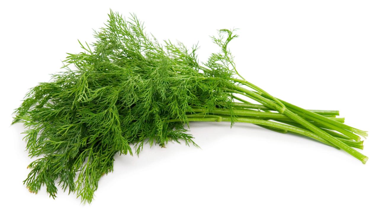 Is dill a super herb