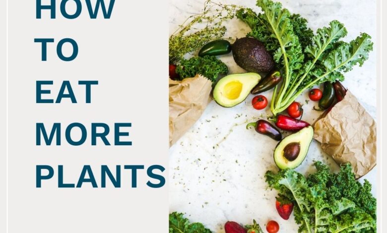 Its easy eating green with these 8 plant rich recipes
