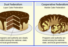 Cake analogies explain fitness vs wellness