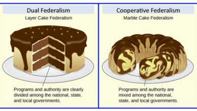 Cake analogies explain fitness vs wellness