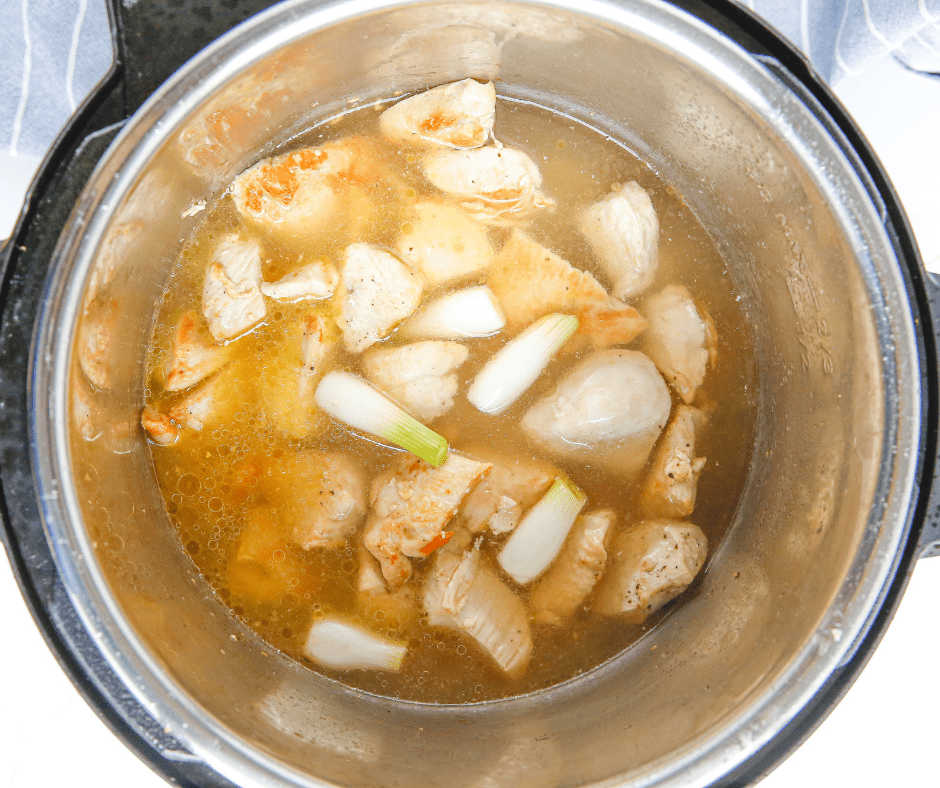 Instant pot chicken ramen