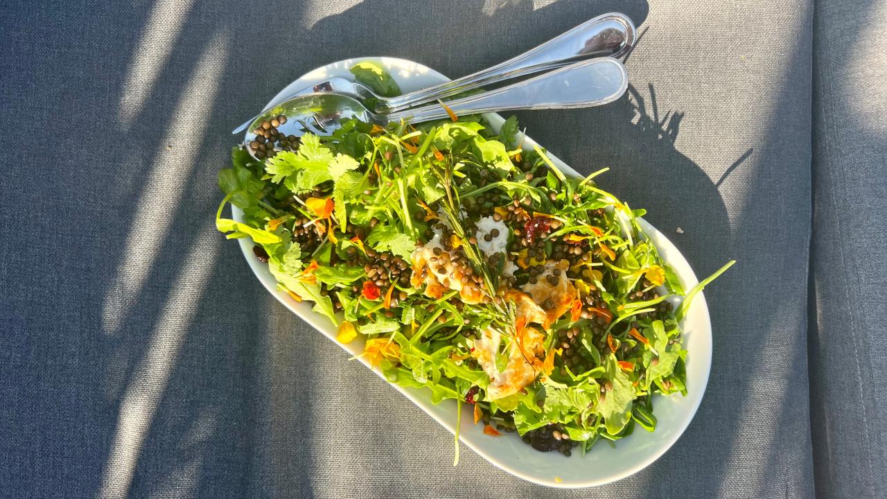 Warm lentil broccolini and snap pea salad