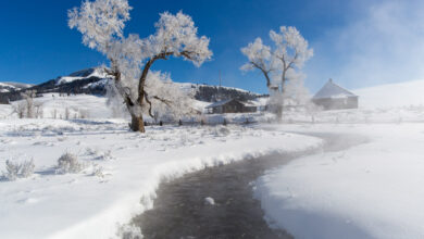 What happens to your body on a winter weather walk