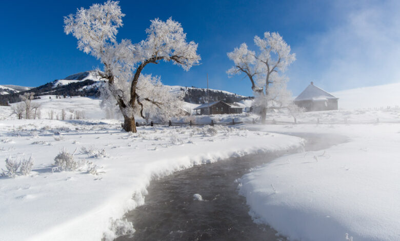 What happens to your body on a winter weather walk