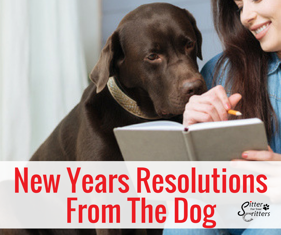 Resolutions year uncommon inspiration traditions