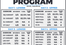 30 day beginners weightlifting program