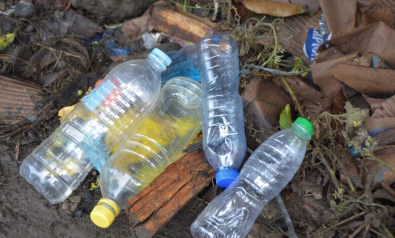 The benefits and impact of ditching disposable water bottles