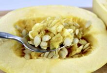 Garlic parmesan spaghetti squash