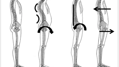 5 surprising benefits of good posture