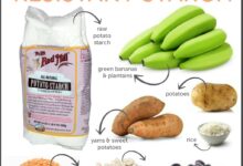 The important role resistant starch plays in weight loss